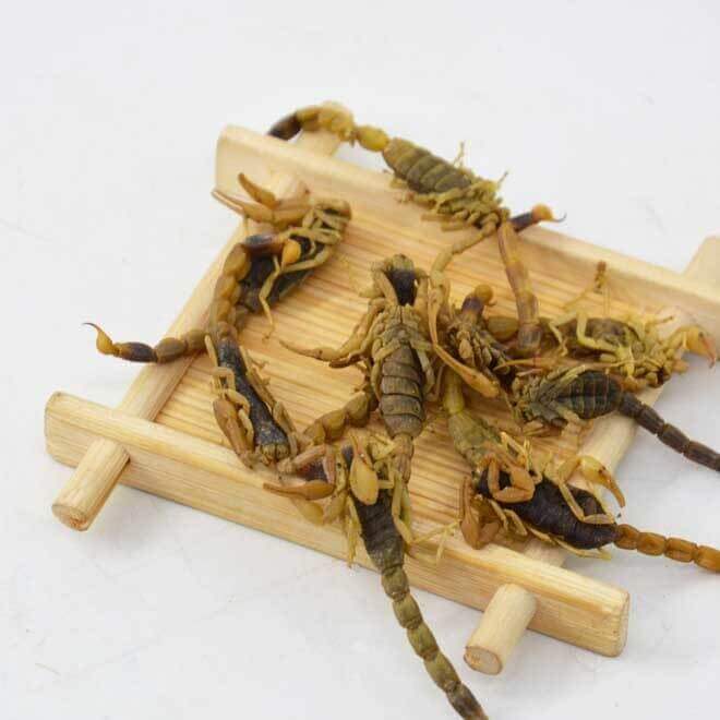 Scorpion Drying Process